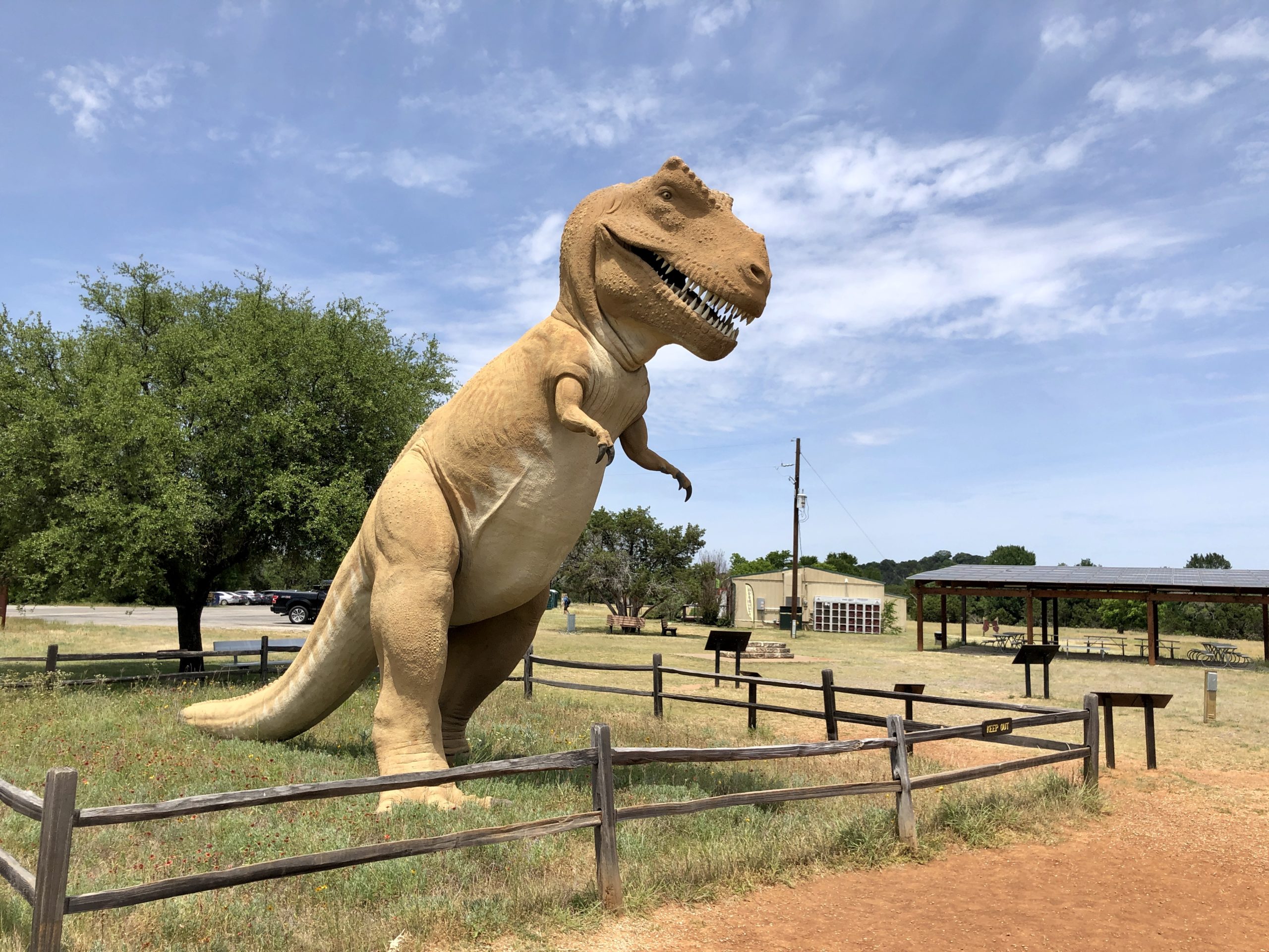Dinosaur Valley State Park North Texas Trails
