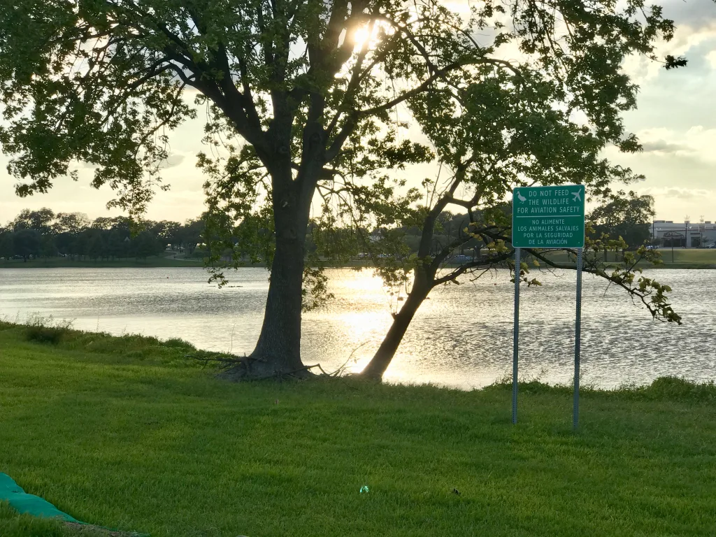Bachman Lake