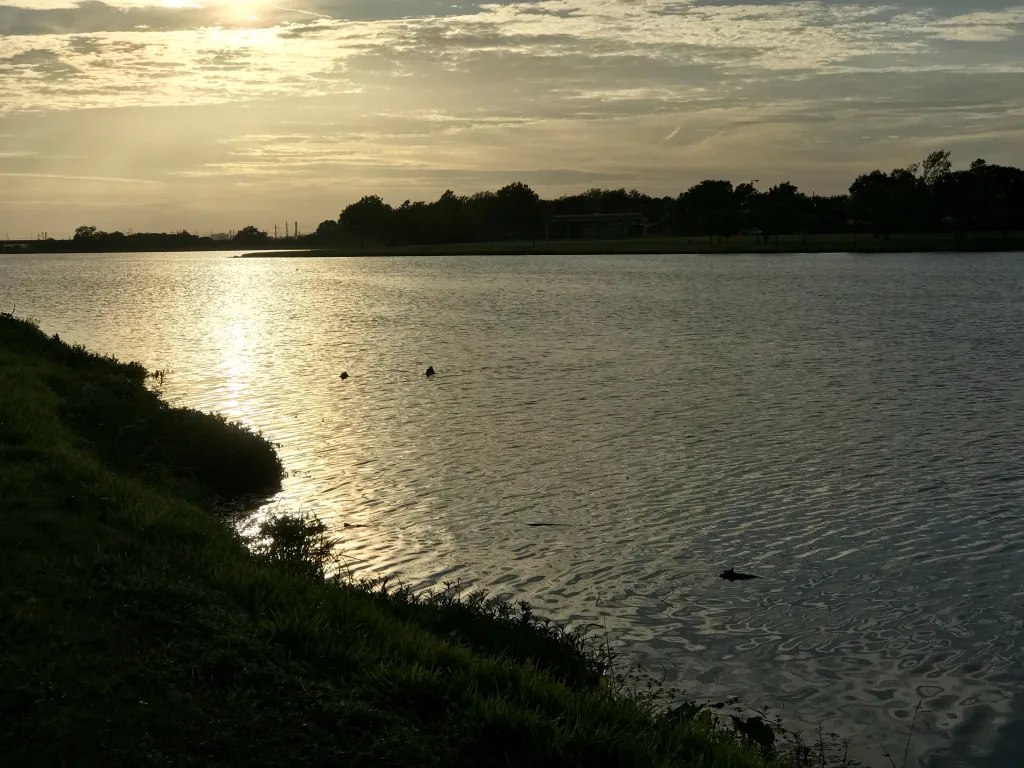Bachman Lake