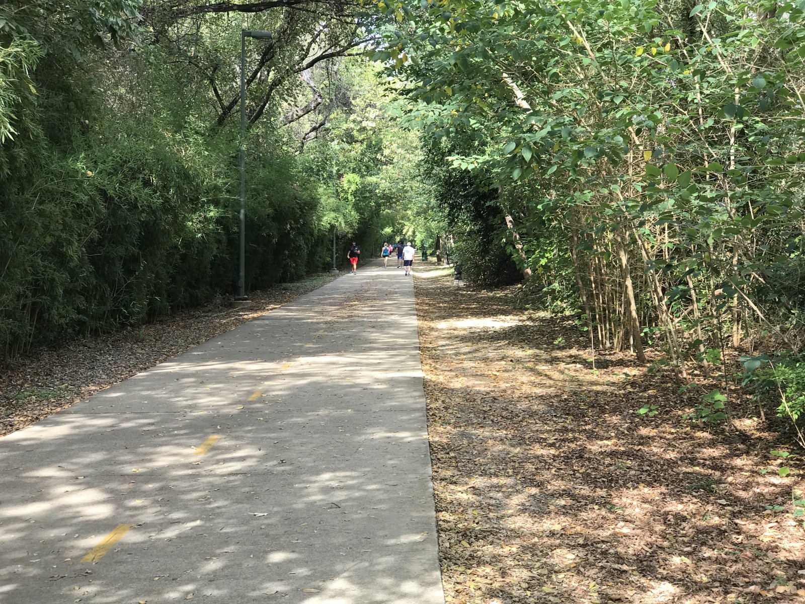 Katy Trail view
