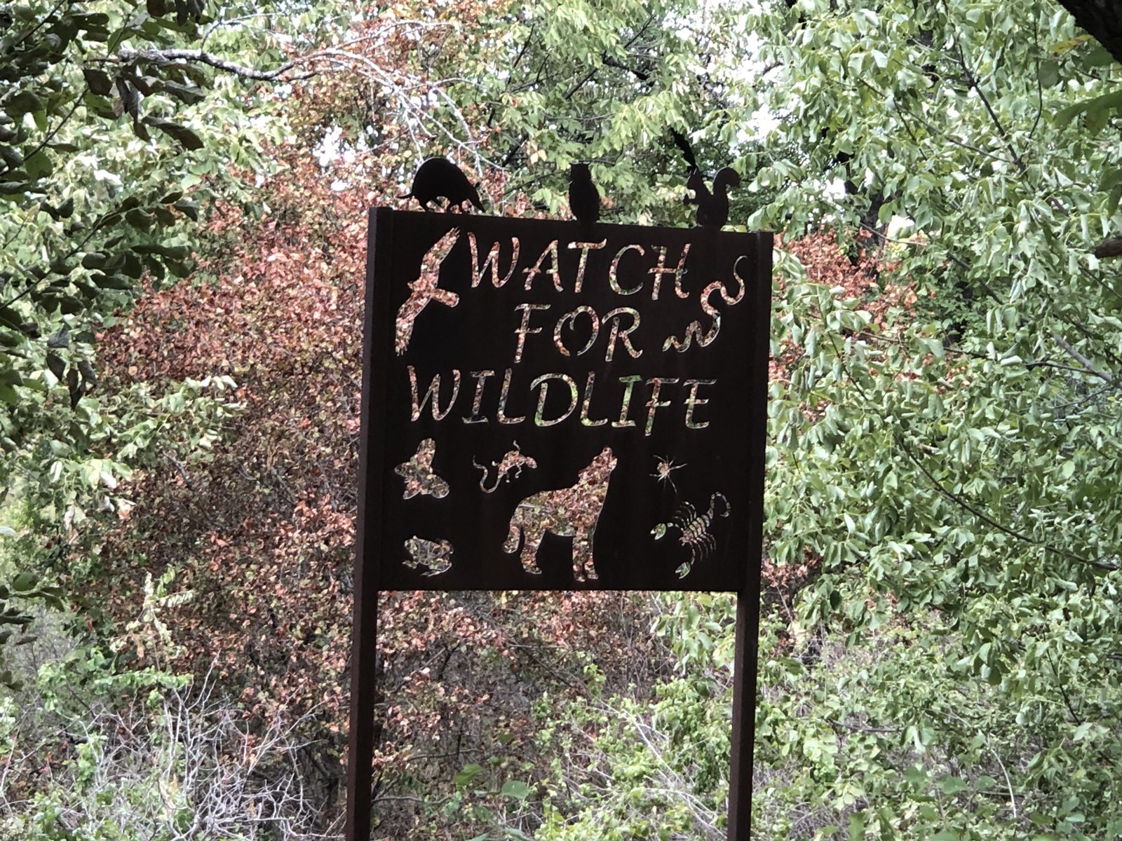 Watch for Wildlife at Arbor Hills