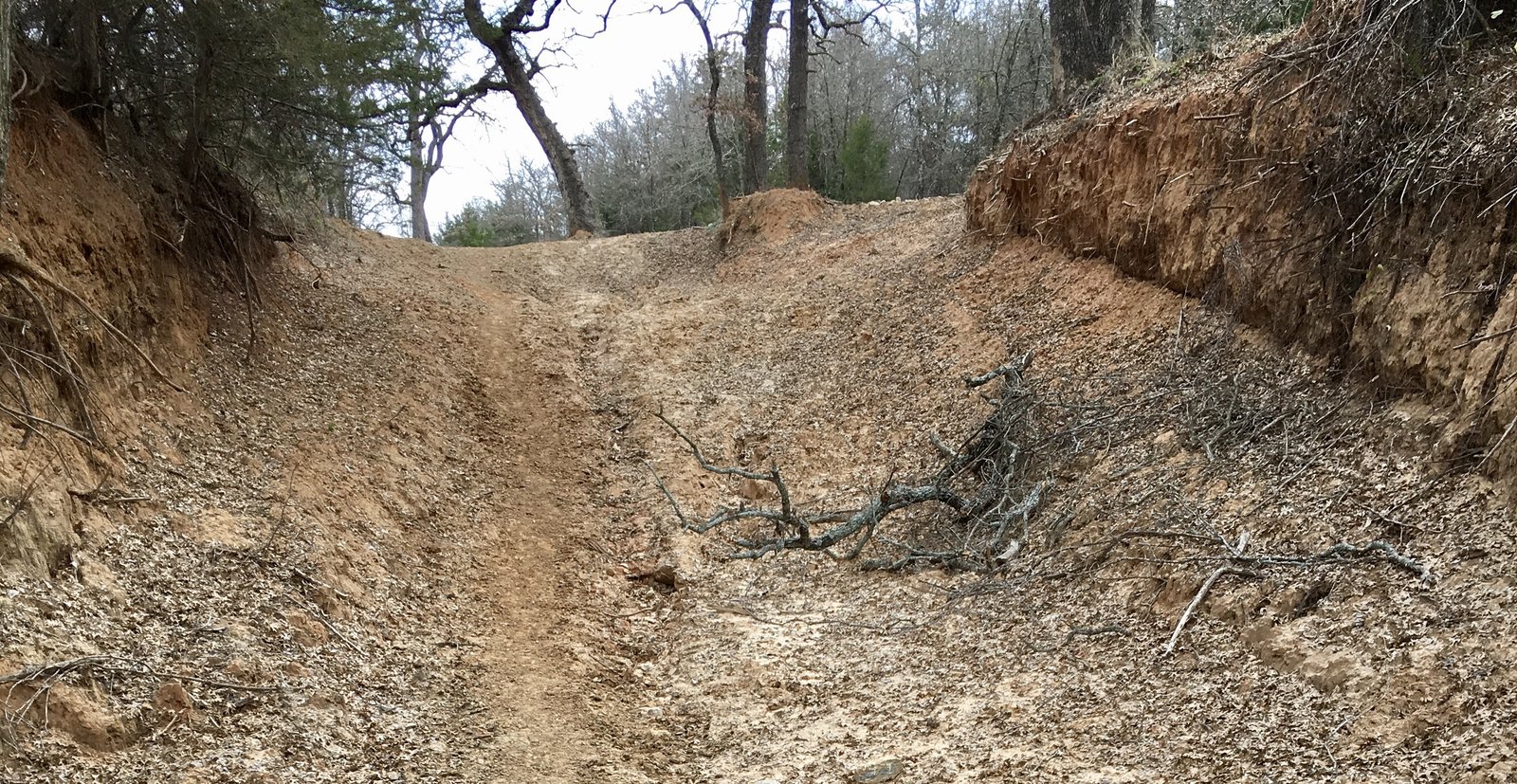 Trail at LBJ Grasslands