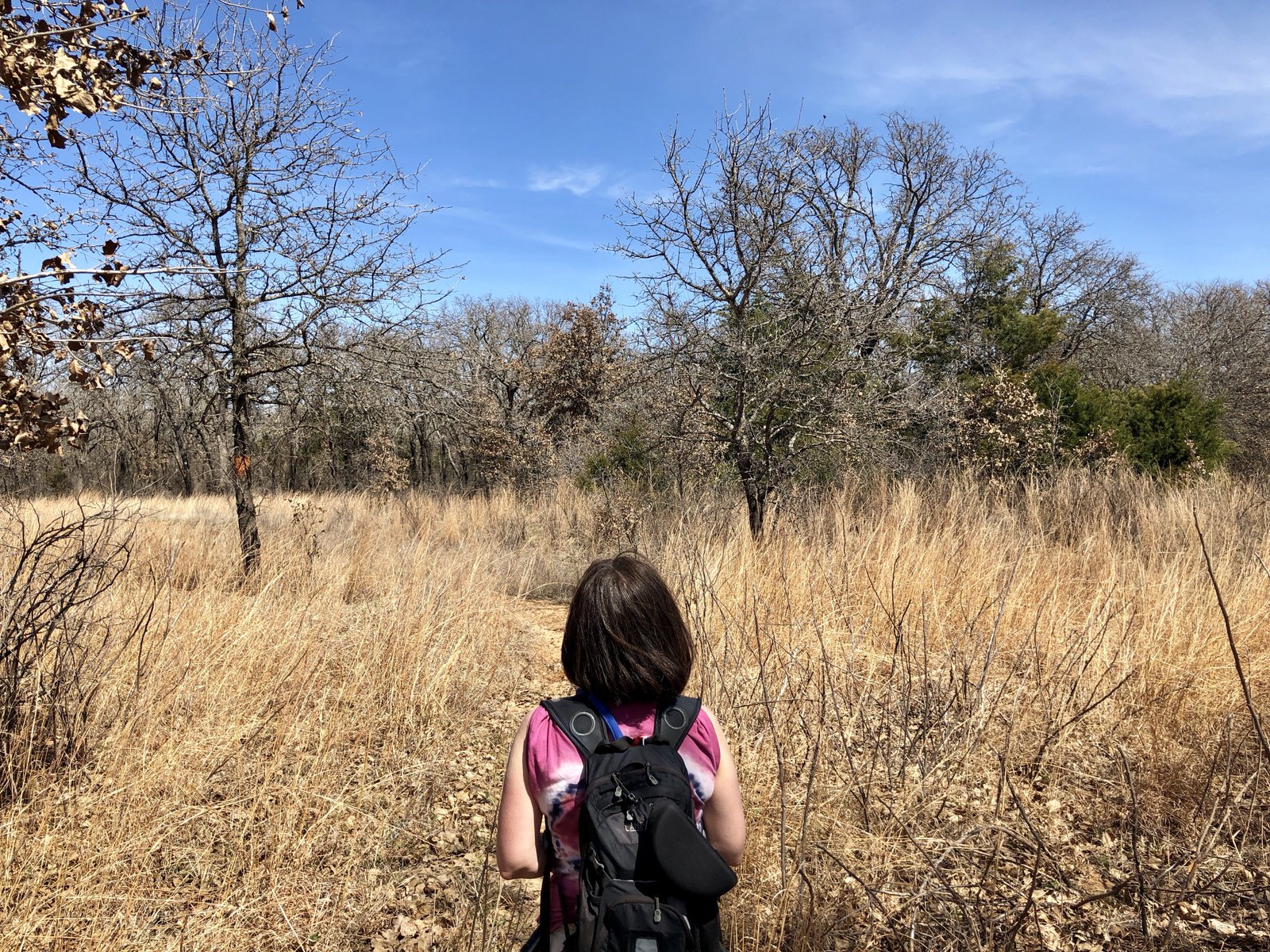 Taking it all in at LBJ Grasslands
