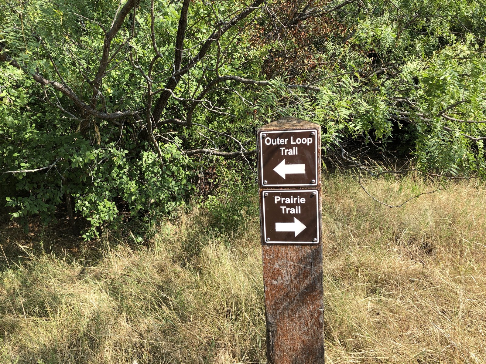 Trail Signs at Arbor Hills