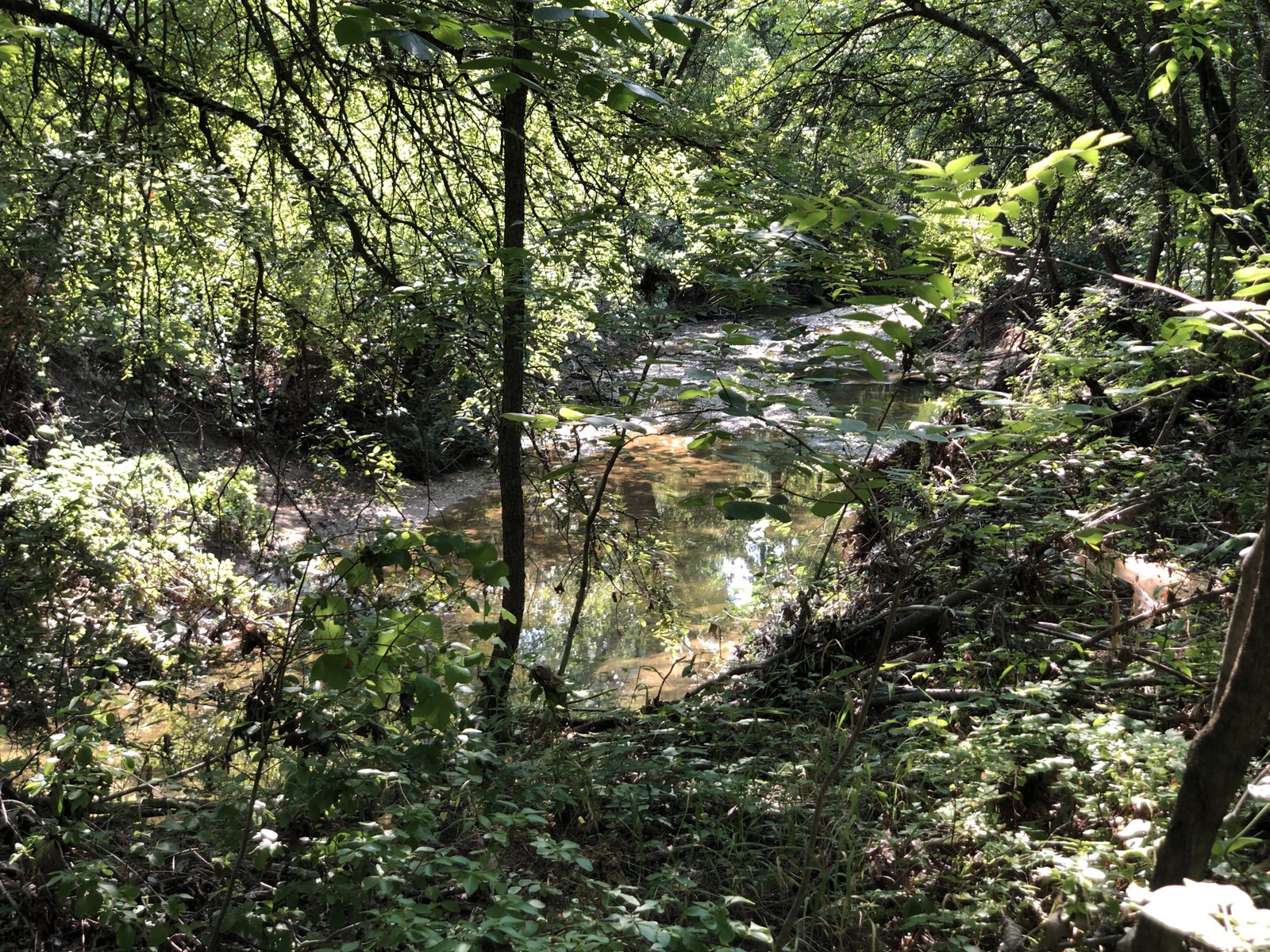 Trestle Trail at Arbor Hills