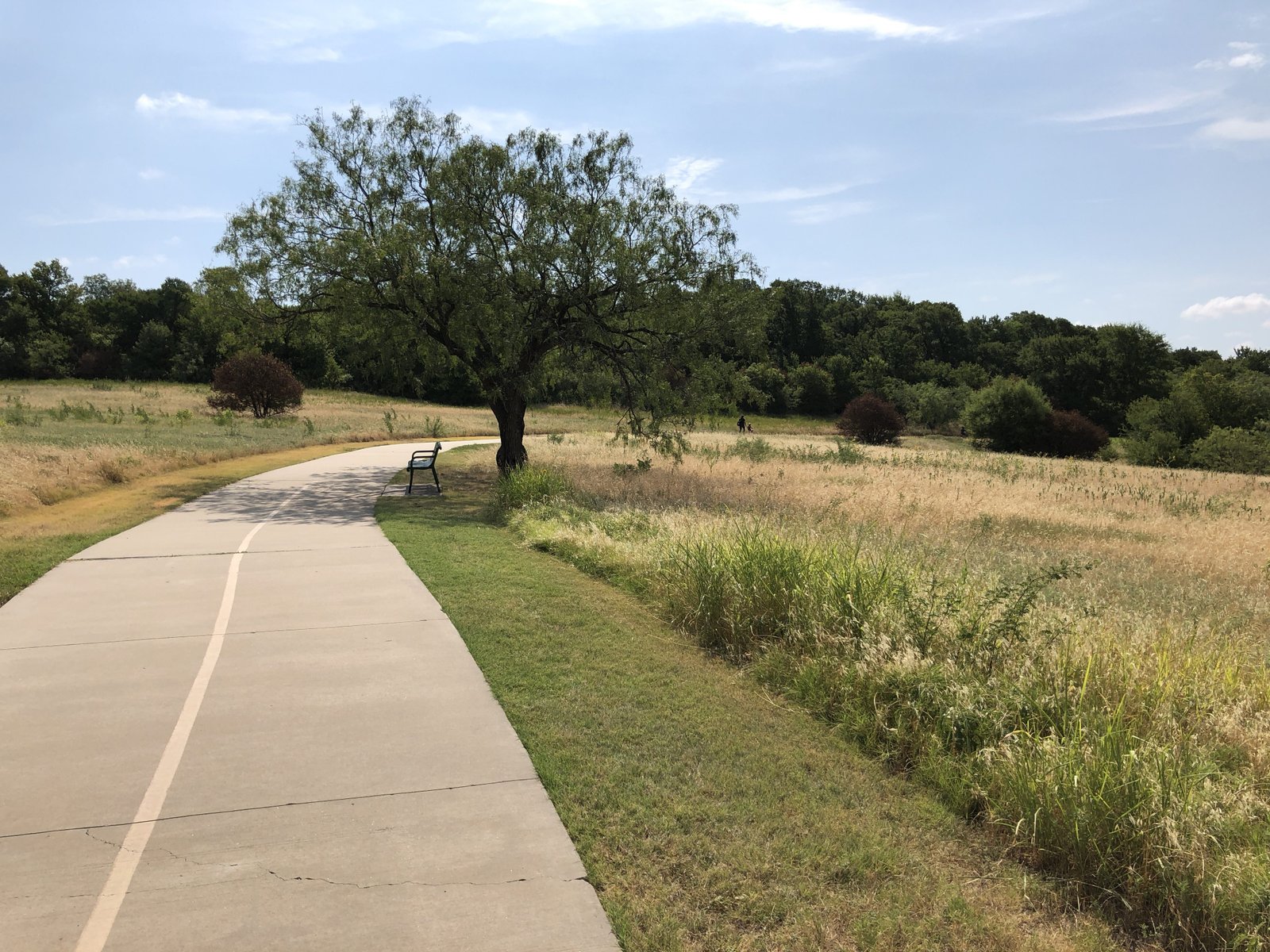 Concrete Path at Arbor Hills
