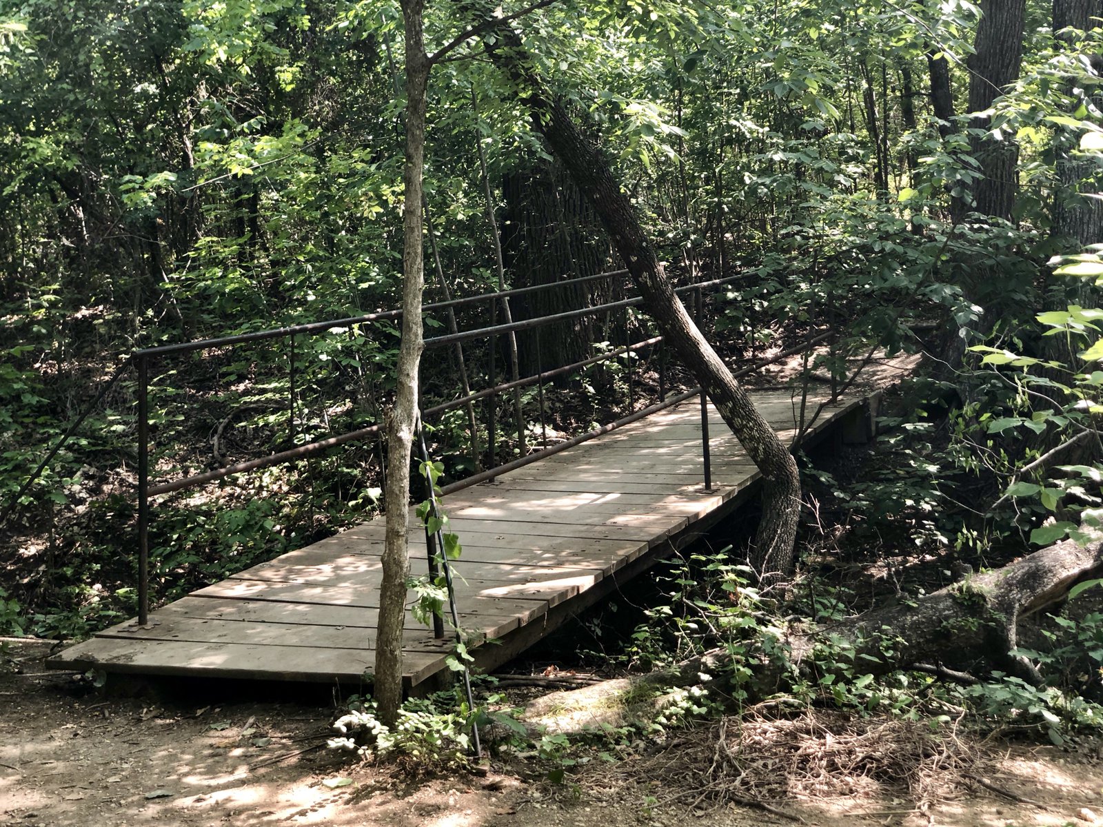 Bridge at Arbor Hills