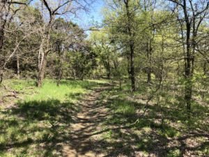 Cedar Hill State Park