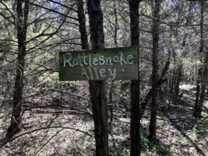 Cedar Hill State Park DORBA Trail