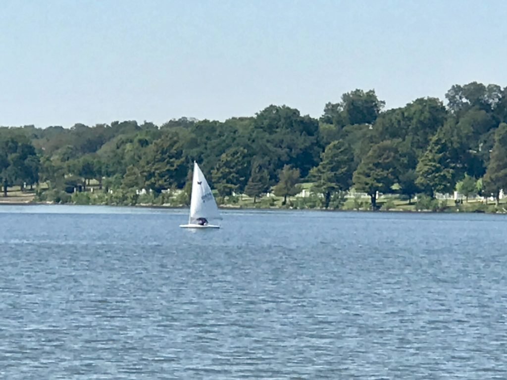 White Rock Lake: Sailboat on the lake