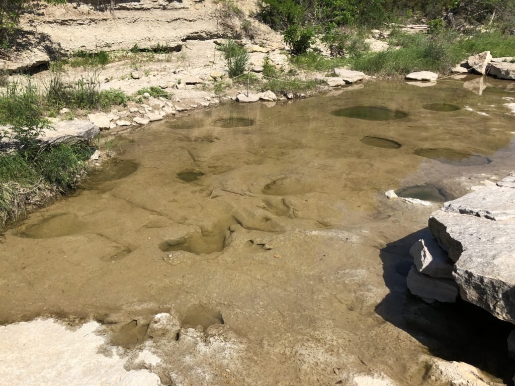Dinosaur Tracks  at Dinosaur Valley State Park