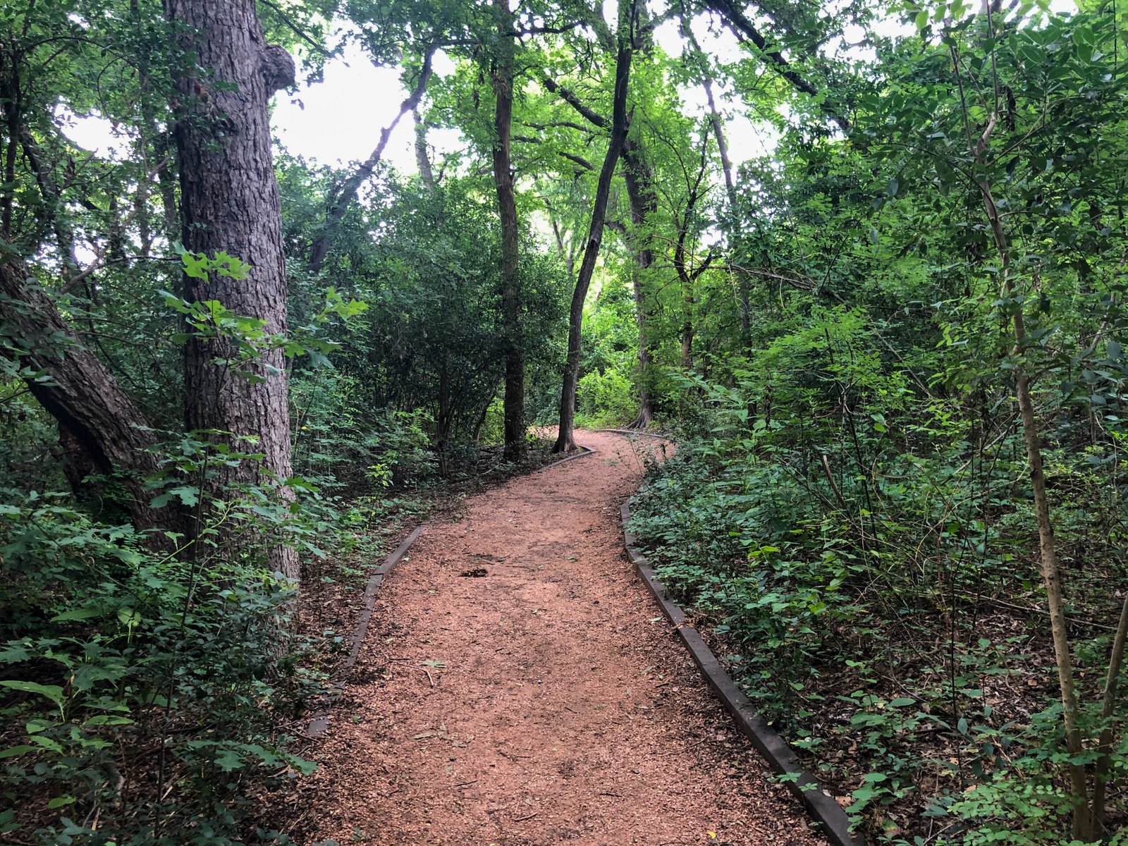 Prarie Creek Park Trail