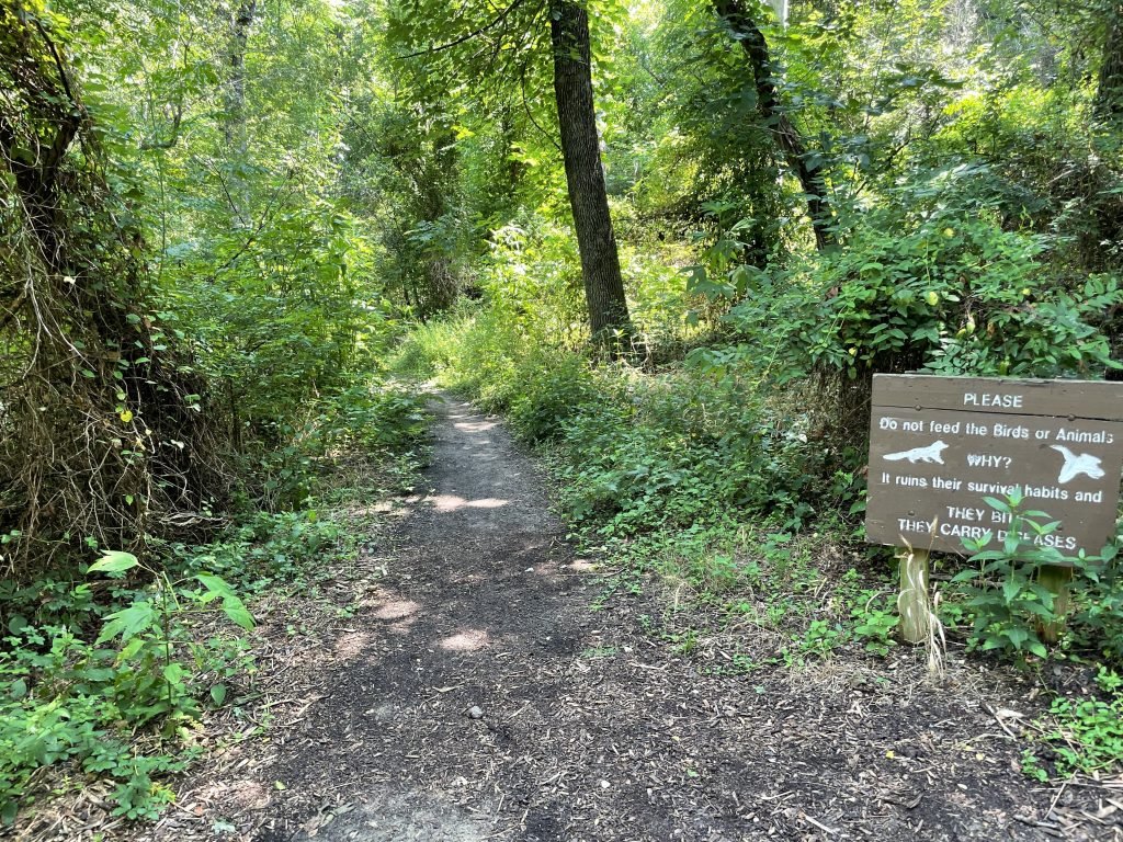 Elm for preserve trailhead