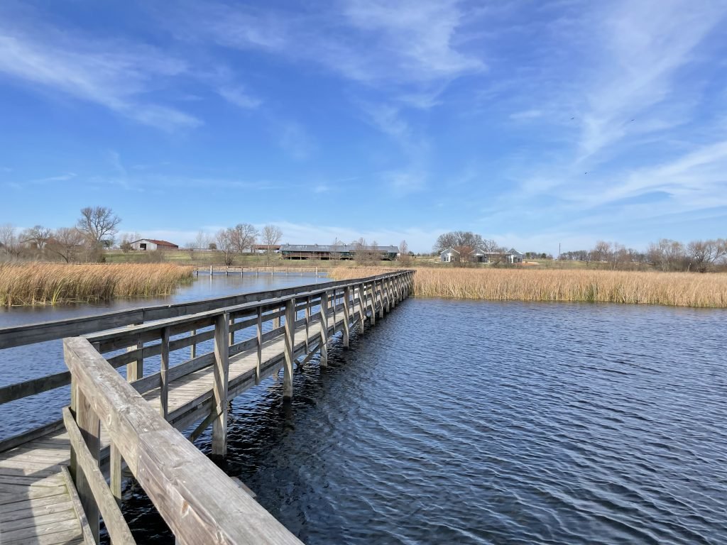 Boardwalk John Bunker Sands