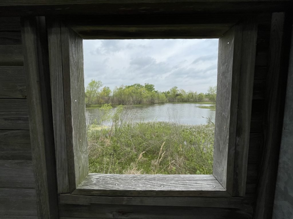 Inside Bird Blind Trinity River Audubon Center