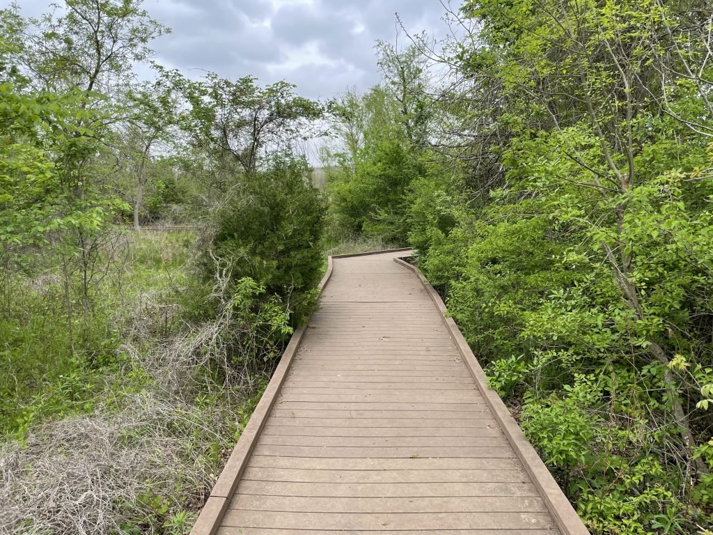 Boardwalk View Trinity River Audubon Center