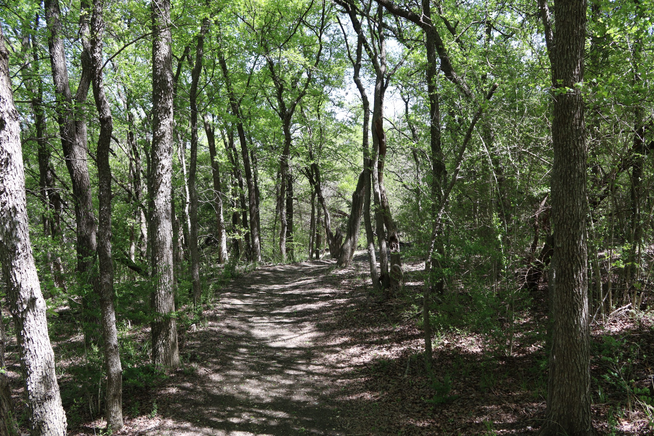 Cedar Mountain Preserve Trail