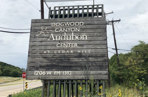 Dogwood Canyon Audubon Center