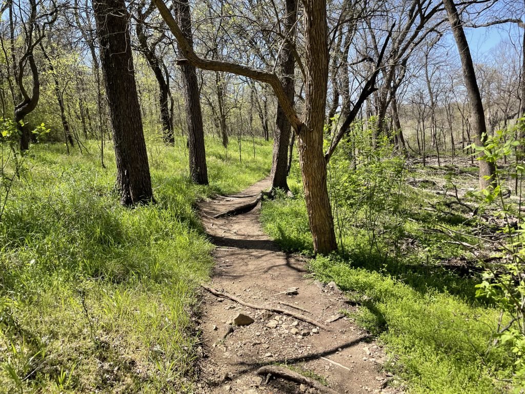 Knob Hills Trail