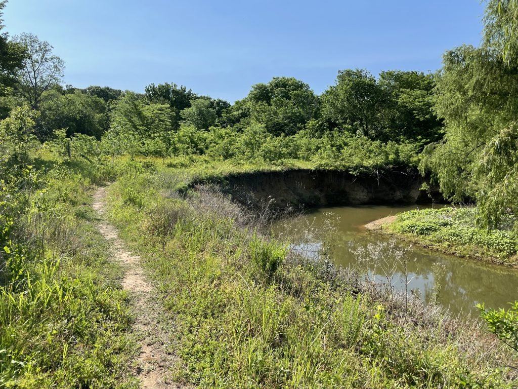 Rocky Point Trail