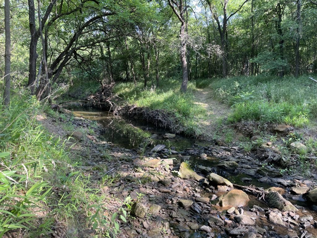 Rocky Point Trail