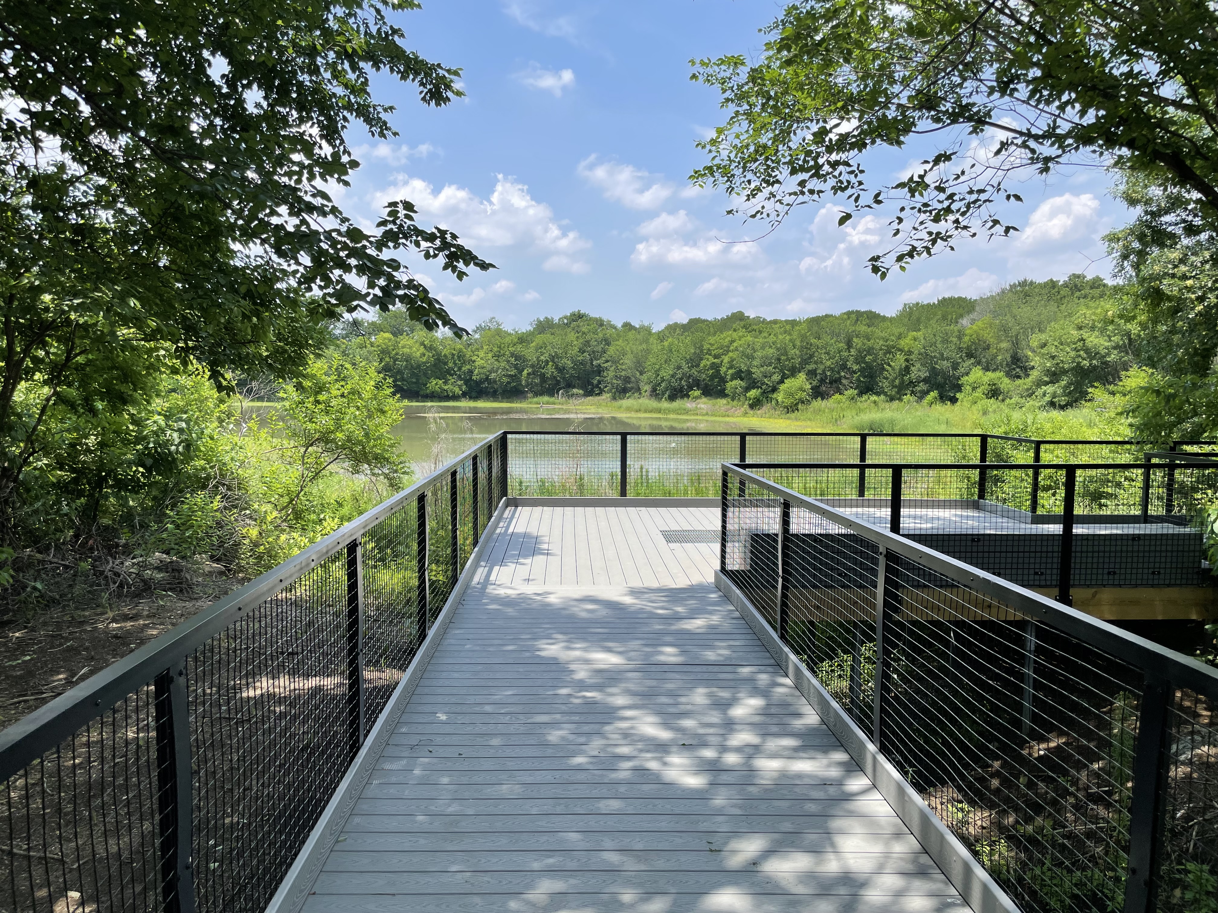 John F Burke Preserve Pond View