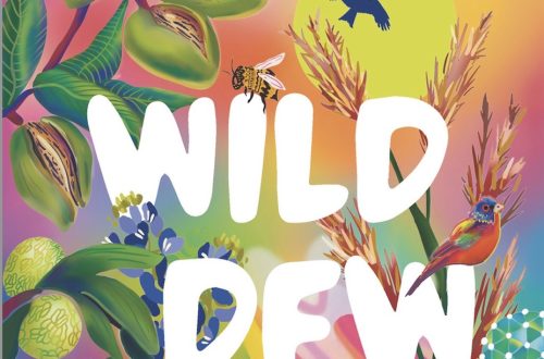 Wild DFW Review