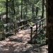 Purtis Creek State Park Bridge