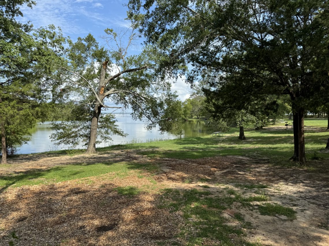 Lake Tawakoni State Park Lake View