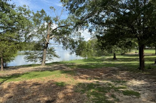 Lake Tawakoni State Park Lake View