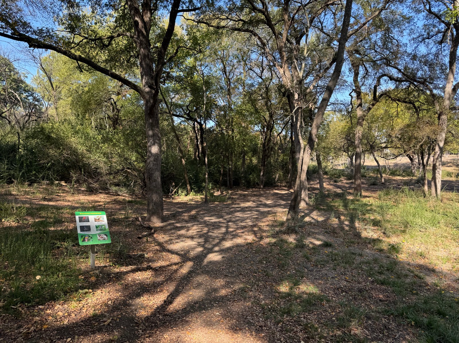 Bachman Greenbelt Trail