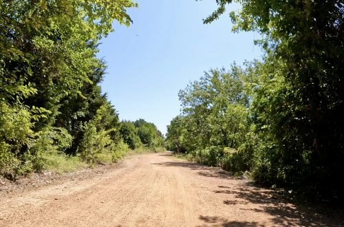 Lakefront Trail