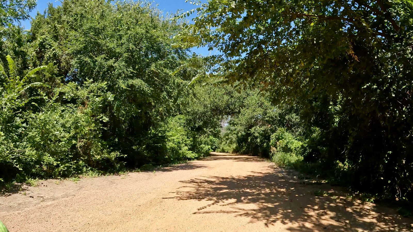 Lakefront Trail