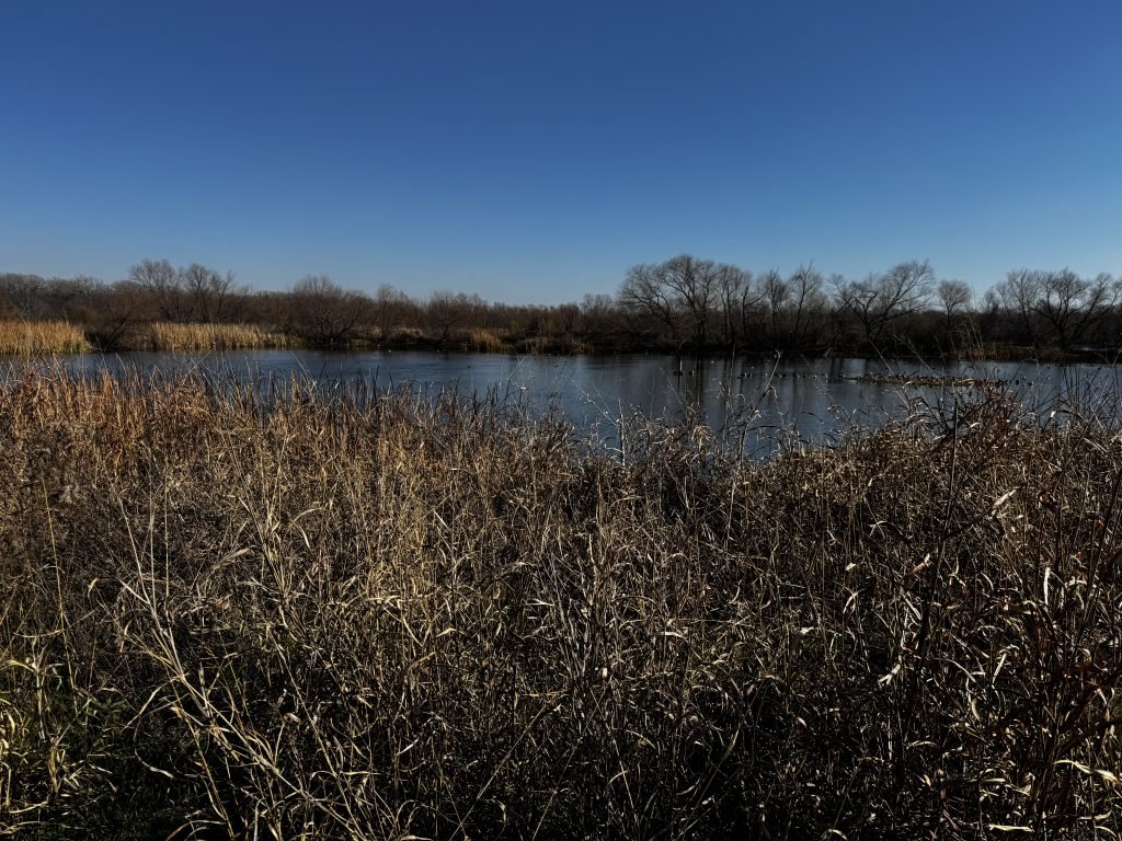 Village Creek Drying Beds Basin