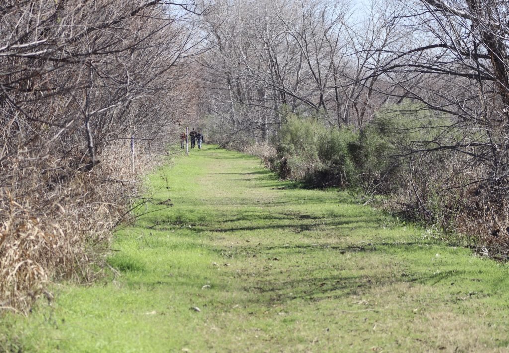 Village Creek Drying Beds Path