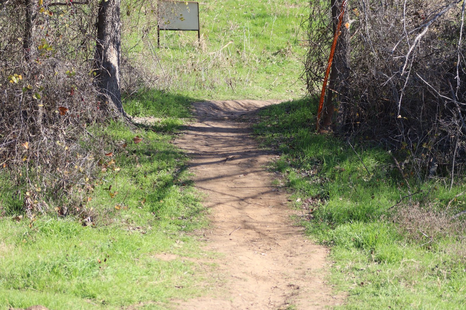 Village Creek Drying Beds Path