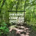 Cedar Hill Hiking