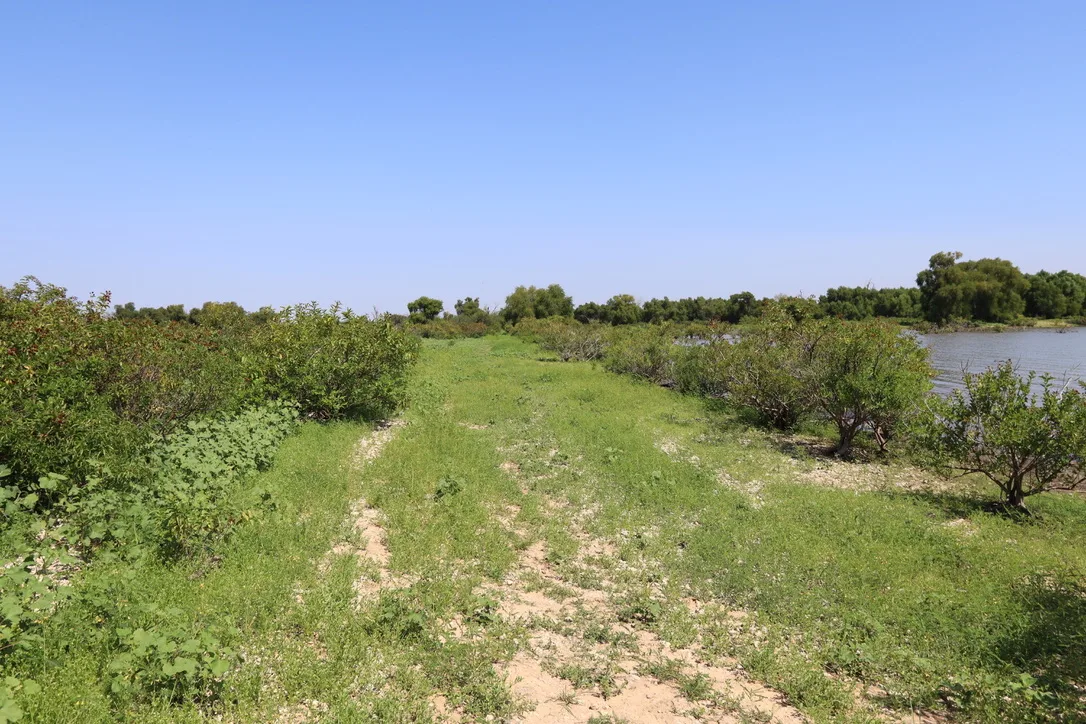 Trophy Club Park - Sunrise Bay Trail