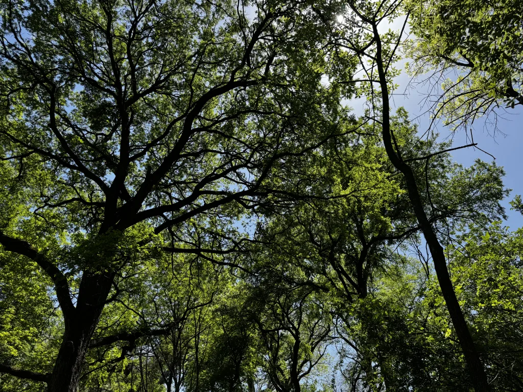 Support Nature