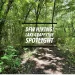 Lake Grapevine Trails