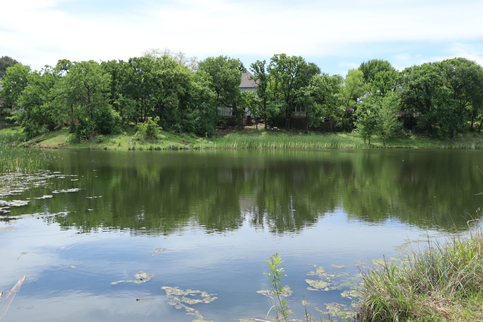 Sheri Capehart Nature Preserve - Pond