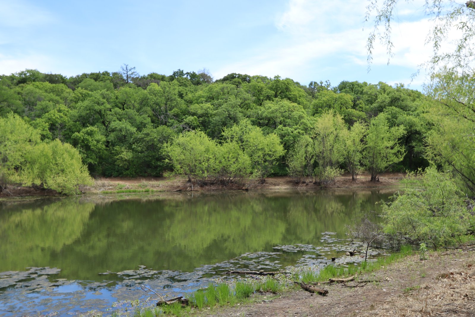 Shari Capehart Nature Preserve