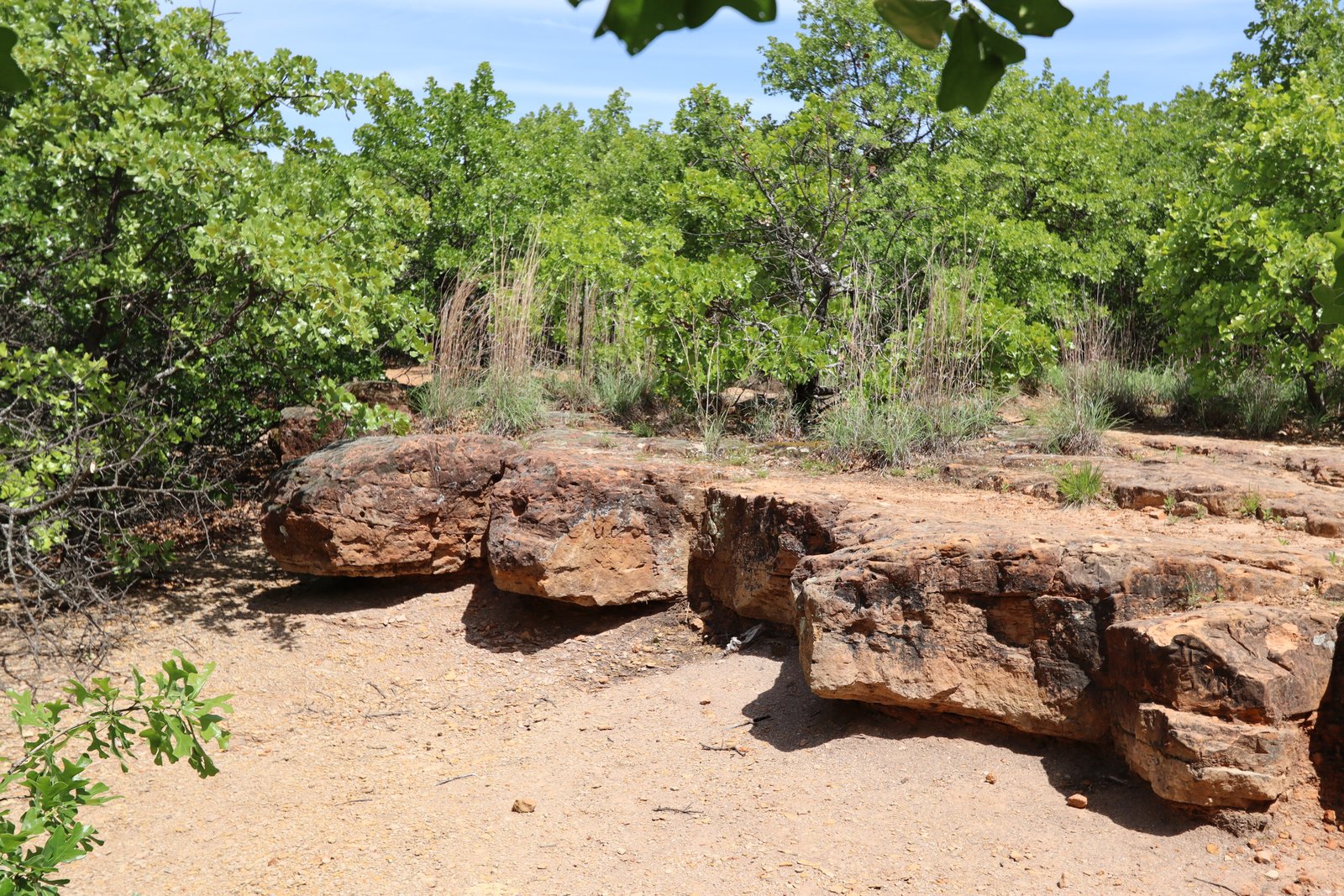Shari Capehart Nature Preserve