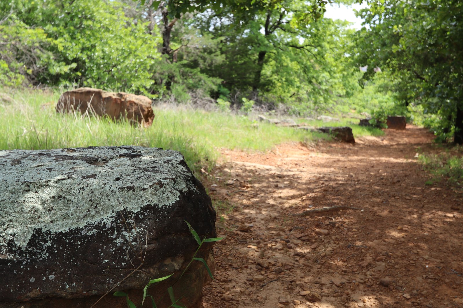 Shari Capehart Nature Preserve