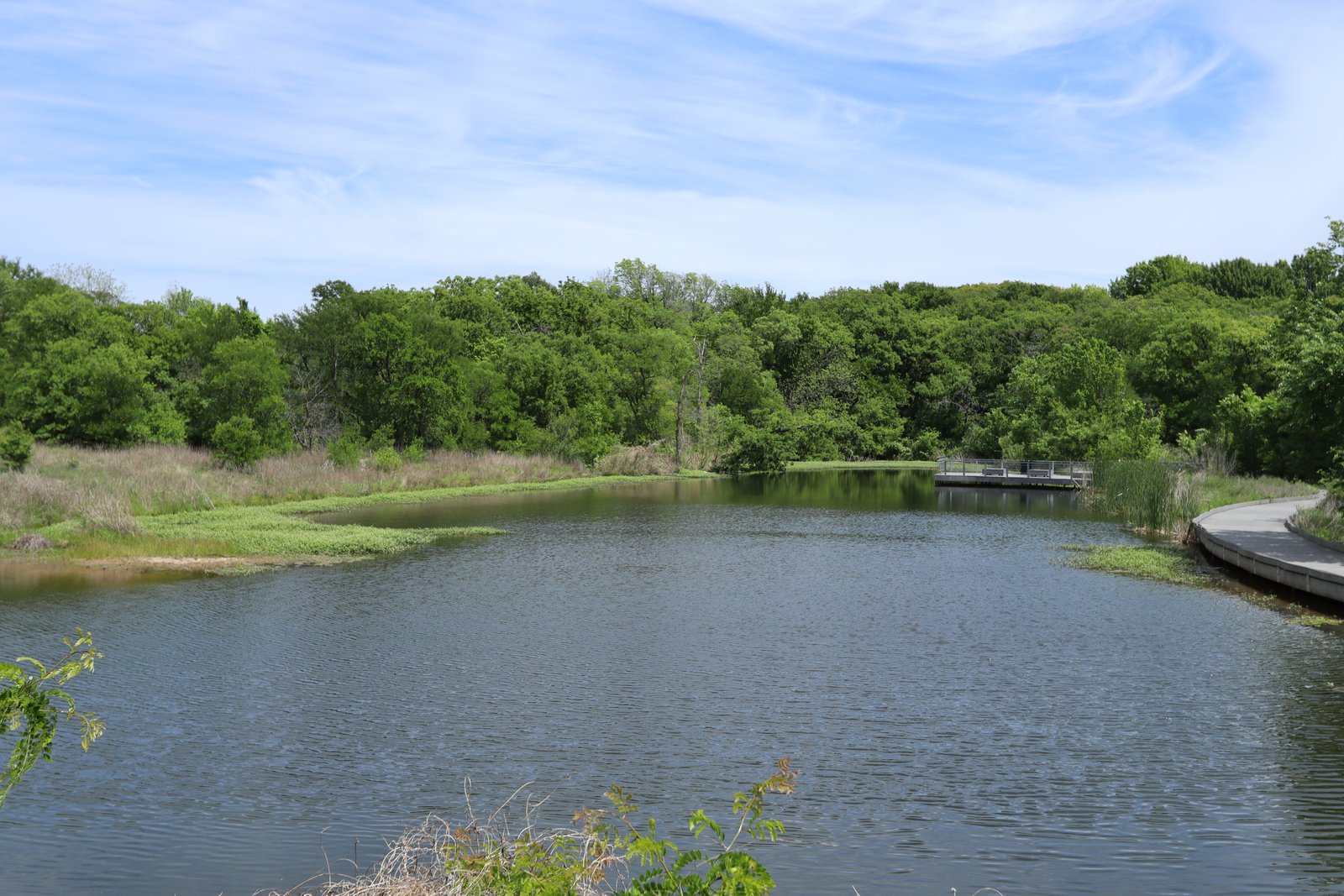 Sheri Capehart Nature Preserve - South Pond