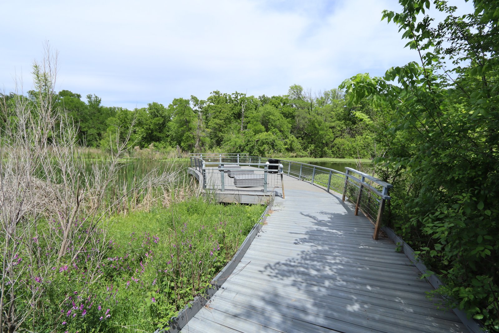 Sheri Capehart Nature Preserve - Boardwalk