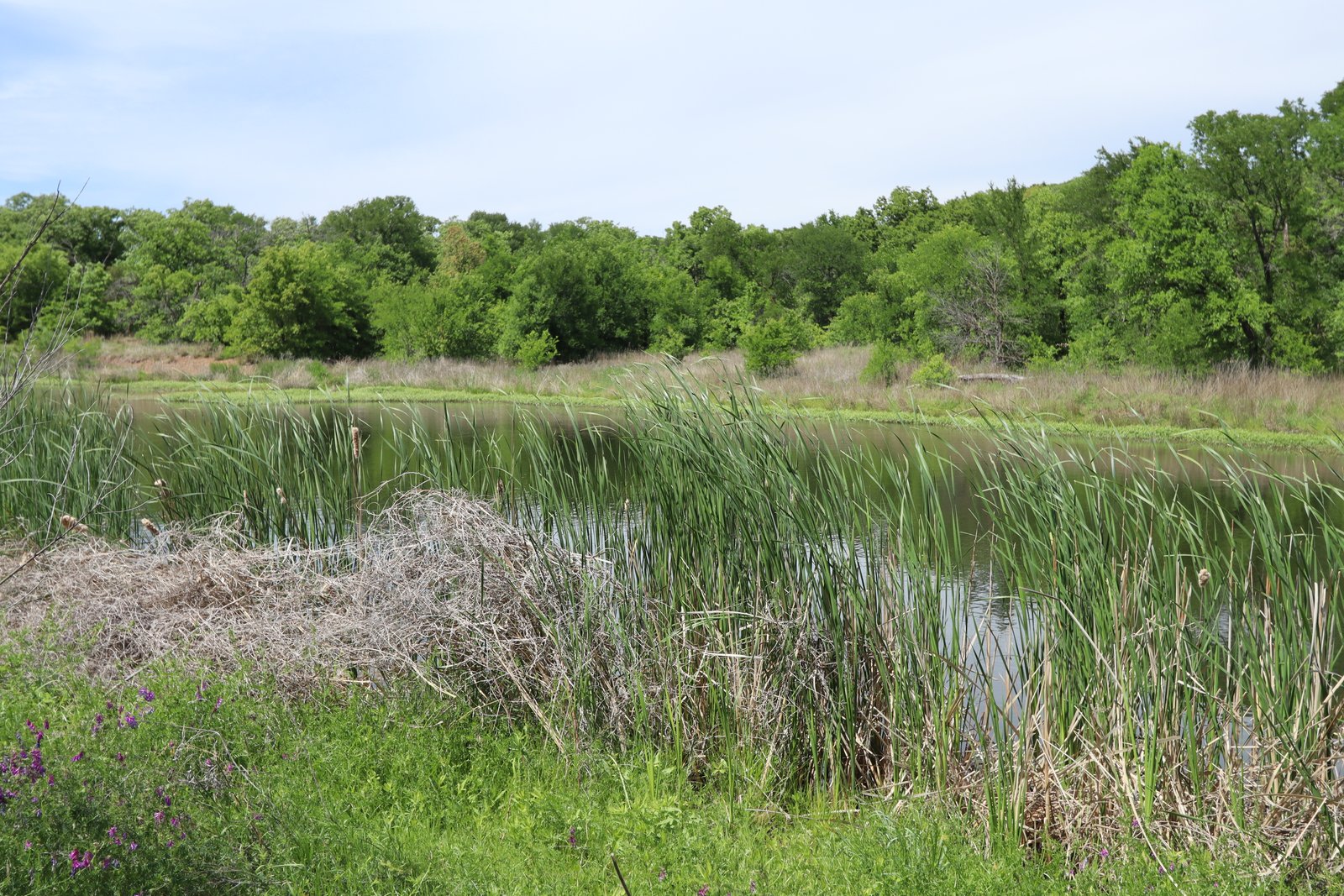 Sheri Capehart Nature Preserve