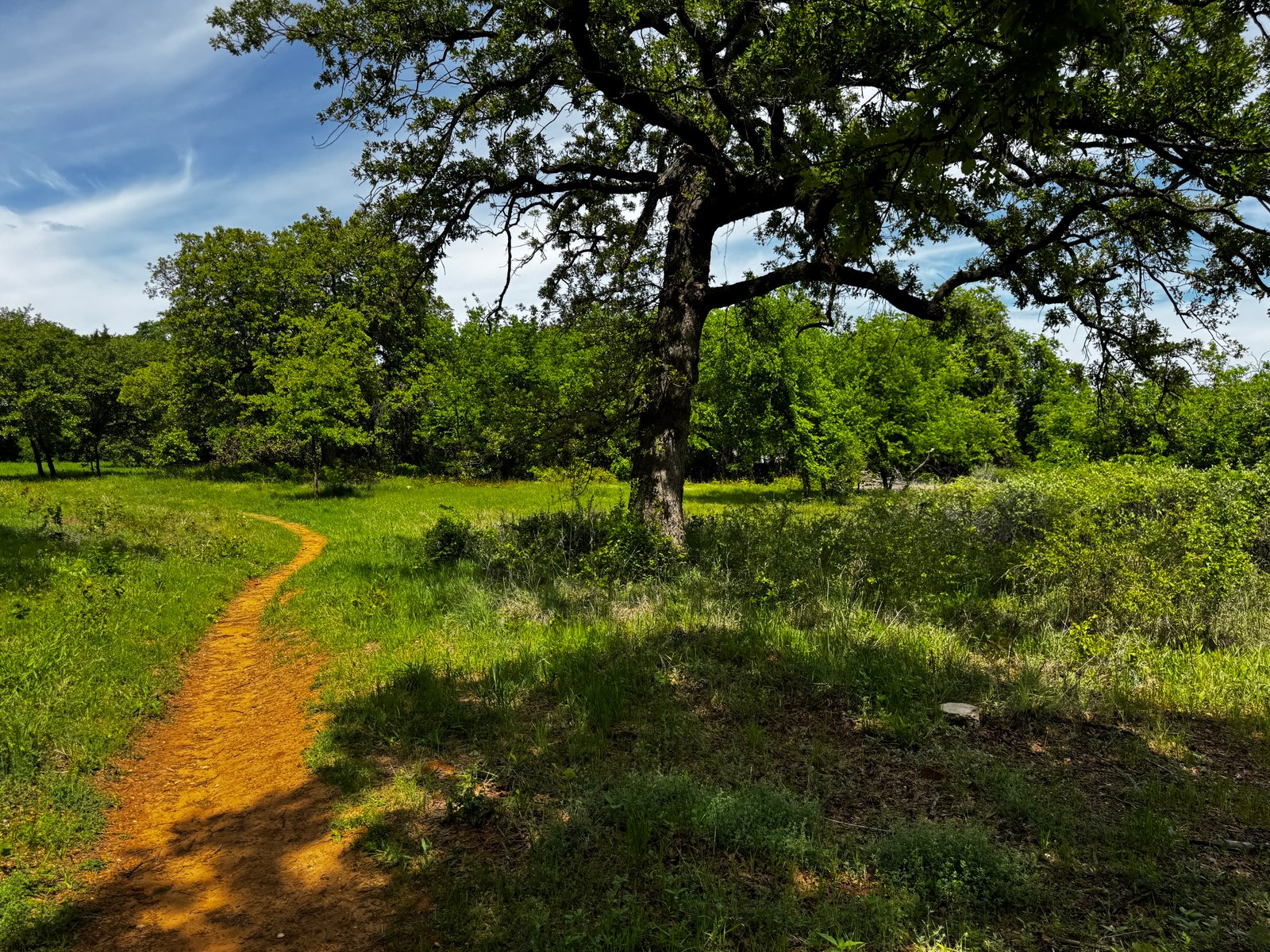 Shari Capehart Nature Preserve